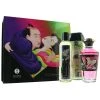 Shunga Fruity Kisses Kit